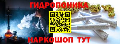 apvp Новозыбков