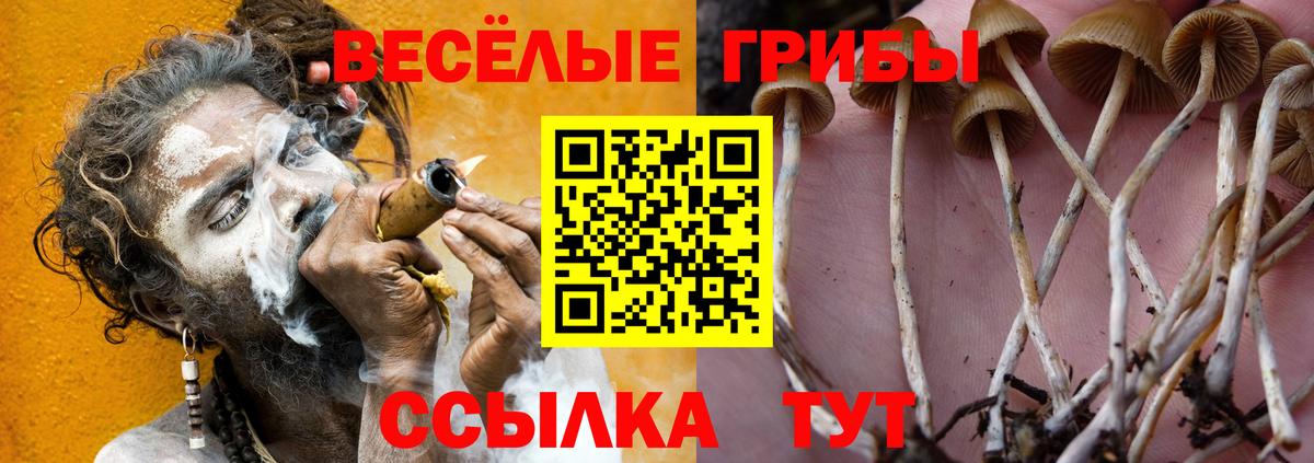 Галлюциногенные грибы Cubensis Тайшет