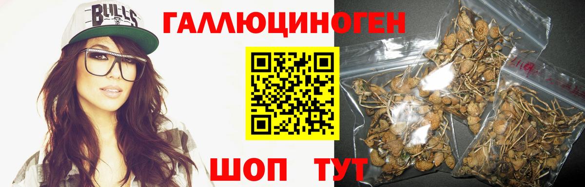 Псилоцибиновые грибы прущие грибы  Вход с VPN  Тайшет 